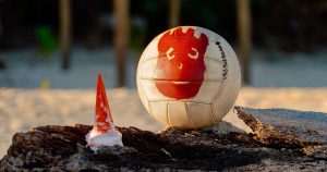 Fiji_wilson_castaway