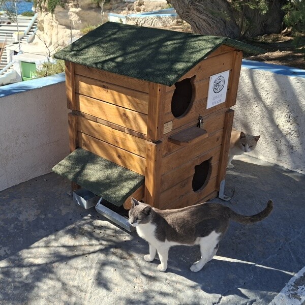 Milos cat habitat