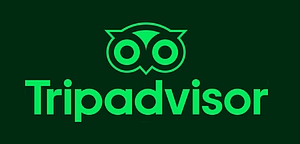 Tripadvisor icon